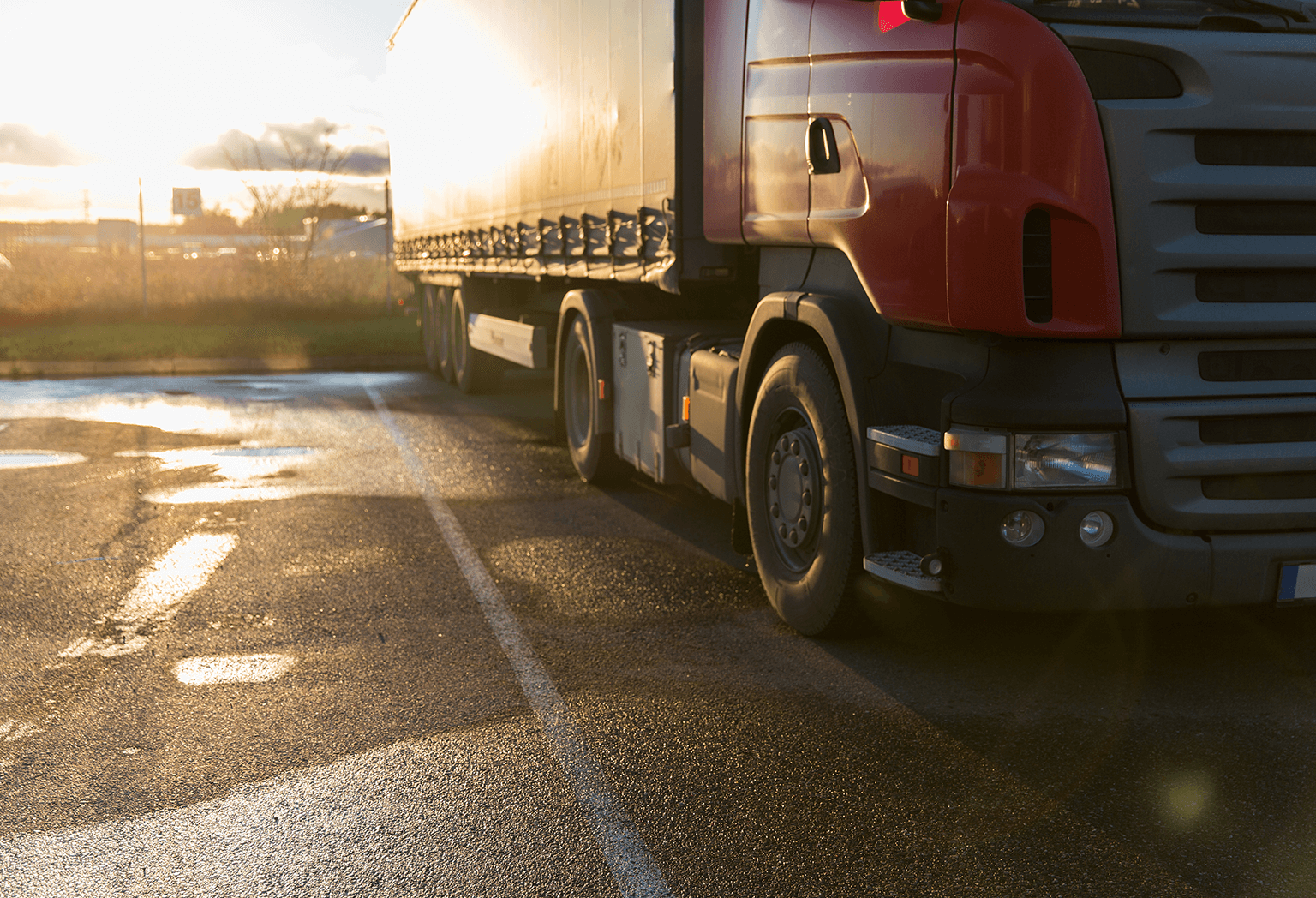 nf_cosa_trasportiamo